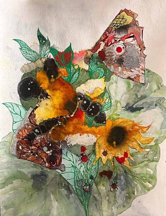 The Land of the Insects The Land of the Insects