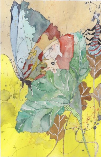 Butterfly
