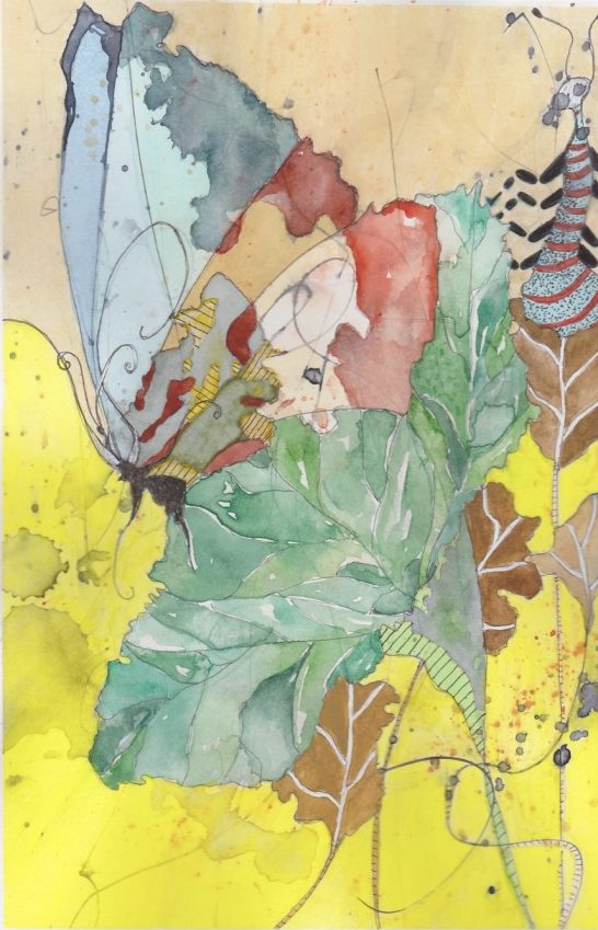 Butterfly (not available) Butterfly