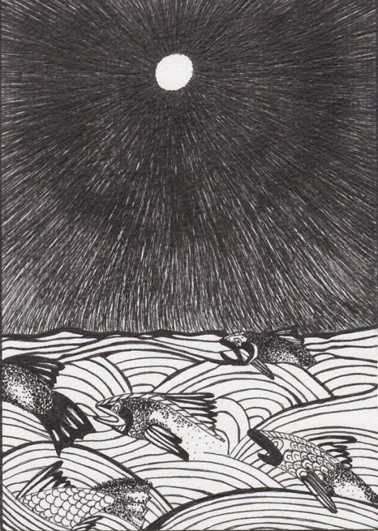 Moonfish (not available) Moonfish